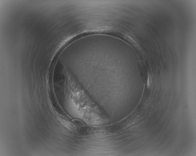 X0000057040483200509231451
