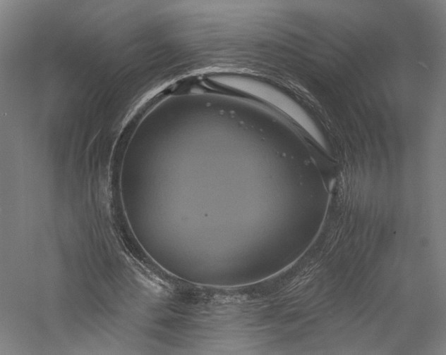 X0000057040484200509231451