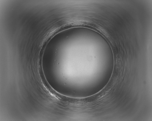 X0000057040485200509231451