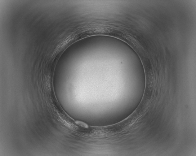 X0000057040489200509231451