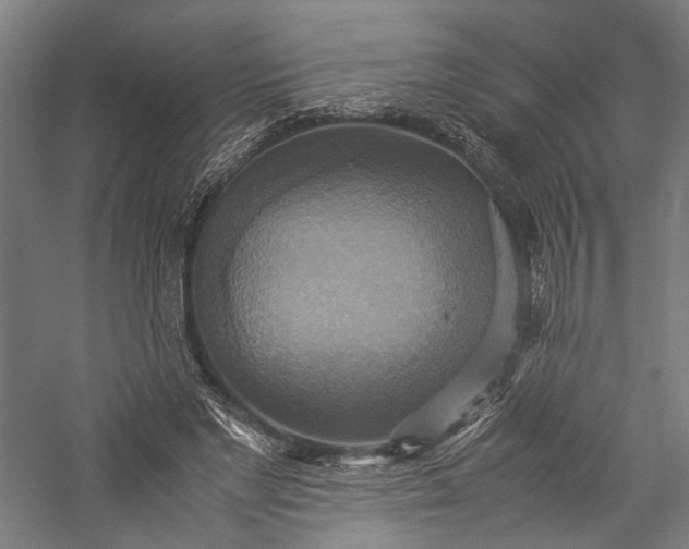 X0000057040493200509231451