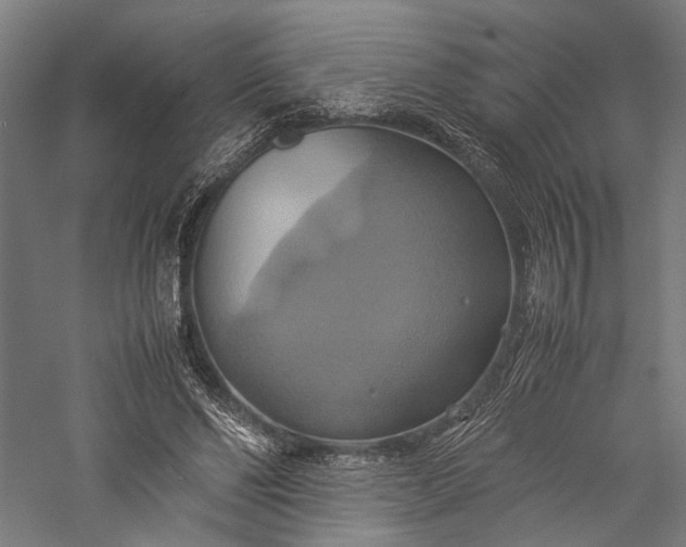 X0000057040494200509231451