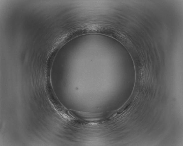 X0000057040496200509231451