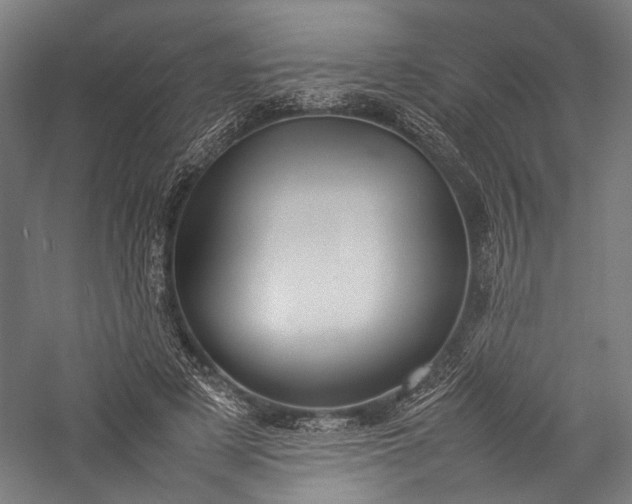 X0000057040497200509231451