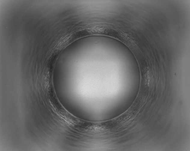 X0000057040498200509231451