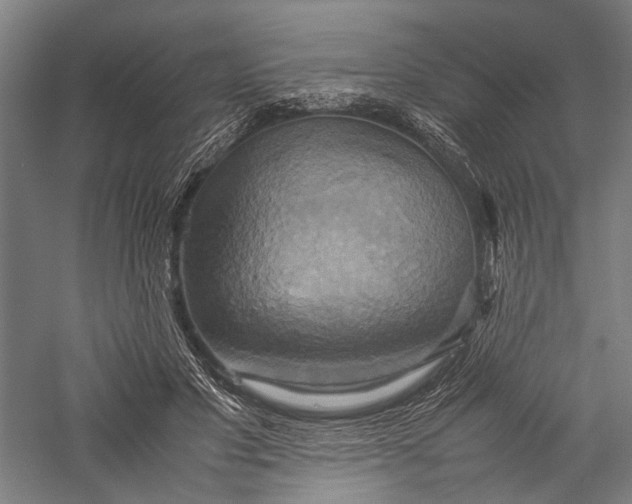 X0000057040501200509231451