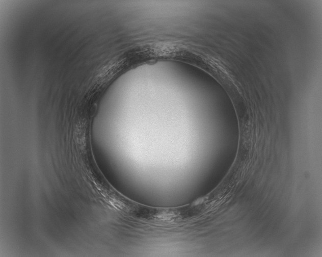 X0000057040505200509231450