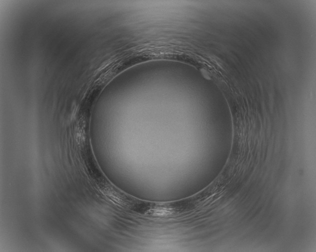 X0000057040507200509231450