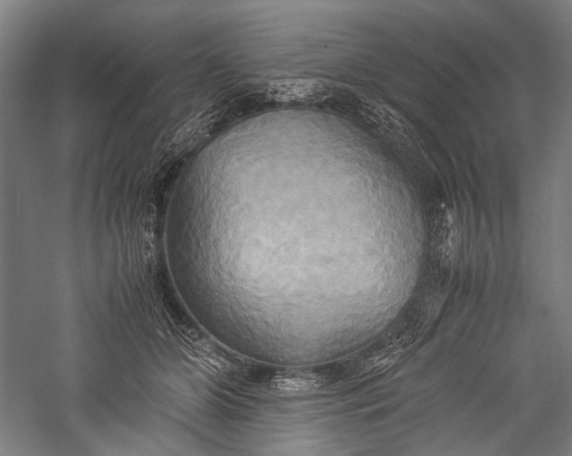 X0000057040510200509231450