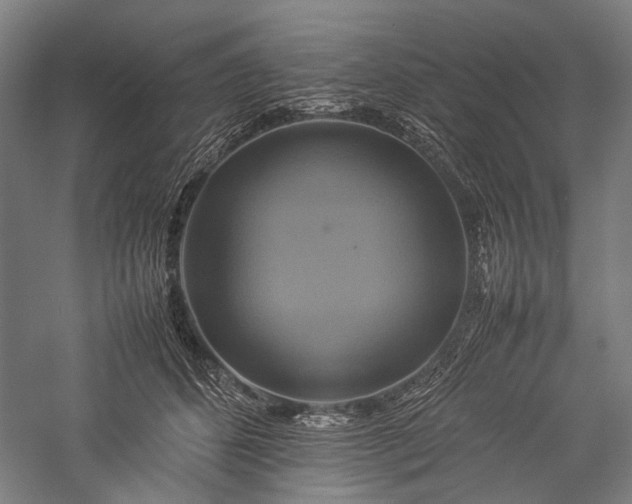 X0000057040512200509231450