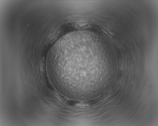 X0000057040515200509231450