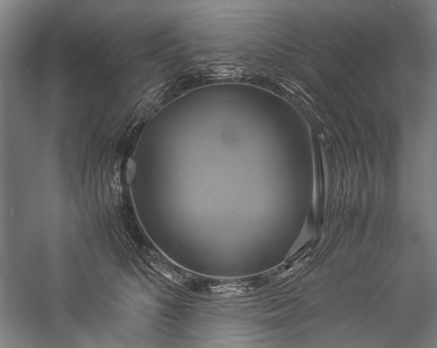 X0000057040516200509231450