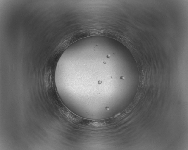 X0000057040522200509231450