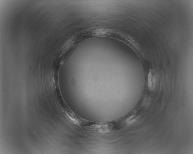 X0000057040524200509231450