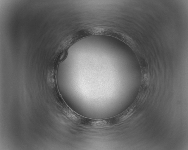 X0000057040525200509231450
