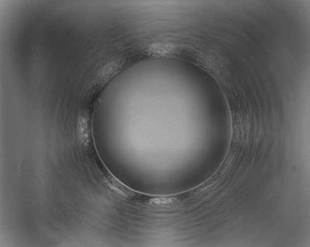 X0000057040526200509231450