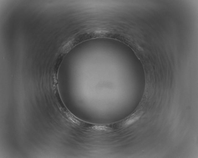 X0000057040528200509231450