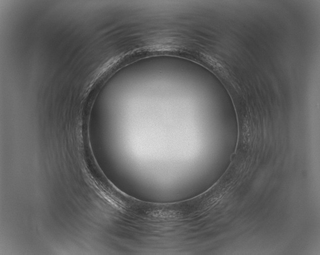 X0000057040535200509231449