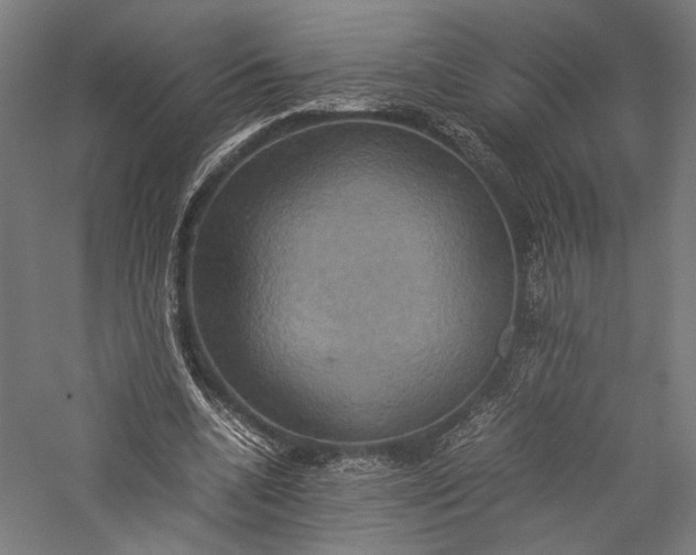 X0000057040536200509231449