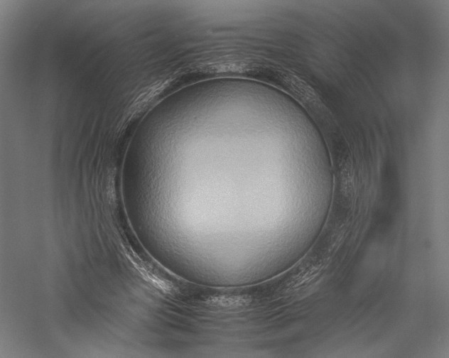 X0000057040537200509231449