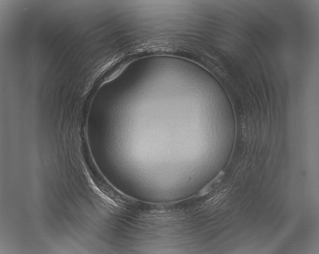 X0000057040538200509231449