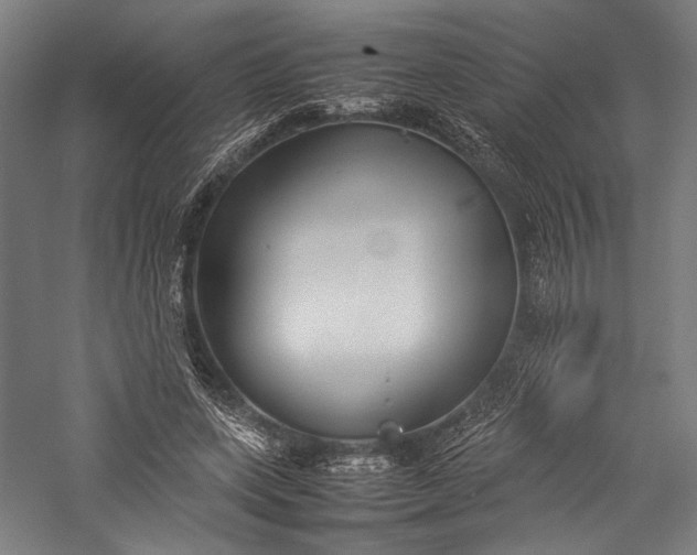 X0000057040543200509231450