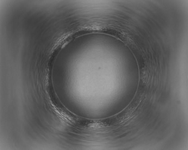 X0000057040544200509231450