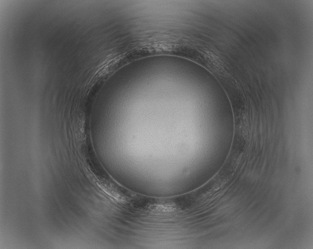 X0000057040548200509231450