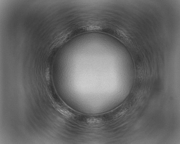 X0000057040549200509231450