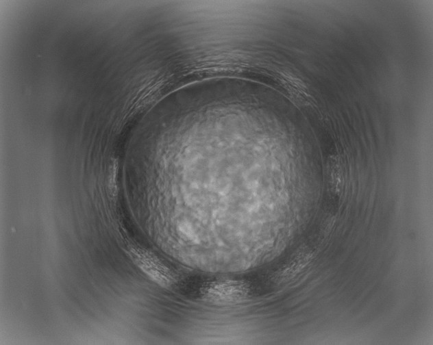 X0000057040550200509231450