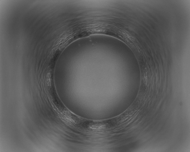 X0000057040551200509231450