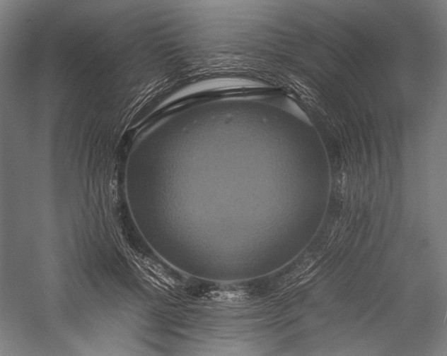 X0000057040552200509231450