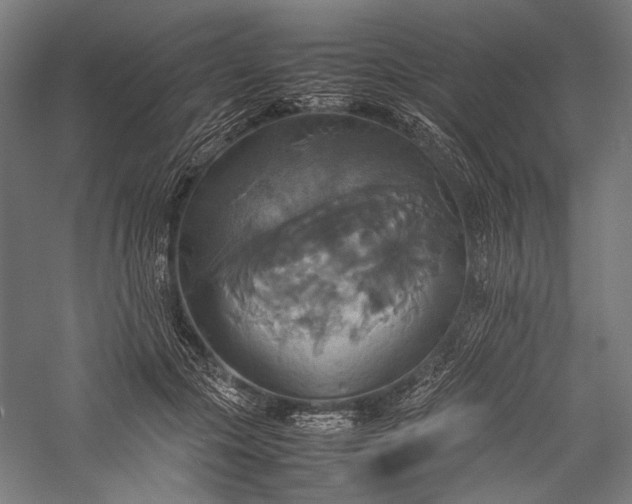 X0000057040553200509231450