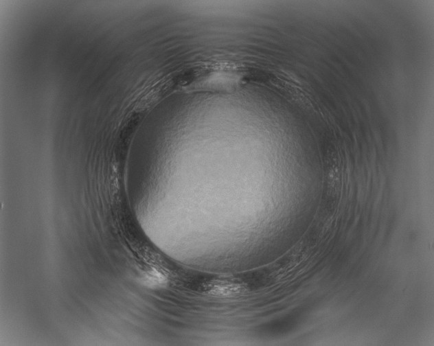 X0000057040555200509231450