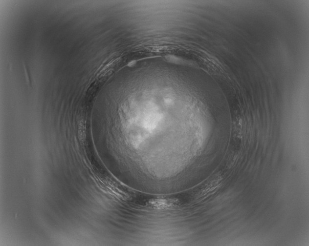 X0000057040558200509231450