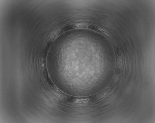 X0000057040571200509231450