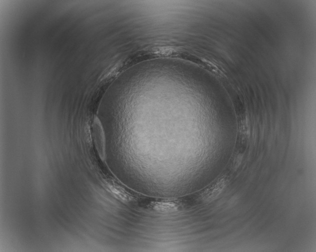 X0000057040572200509231450