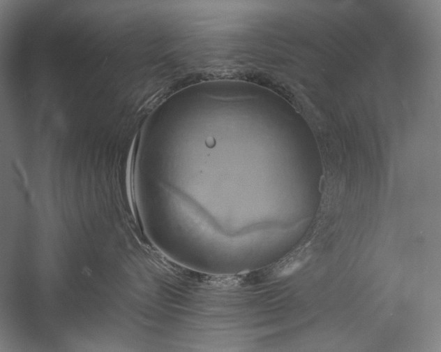 X0000057040576200509231450