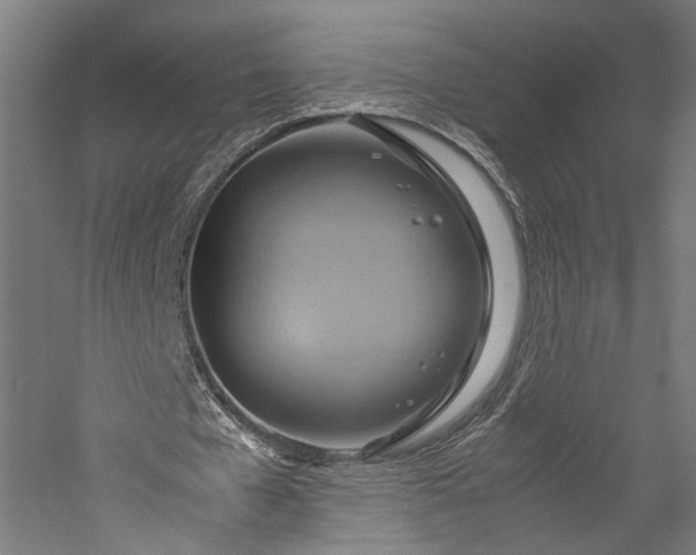 X0000057040577200509231449