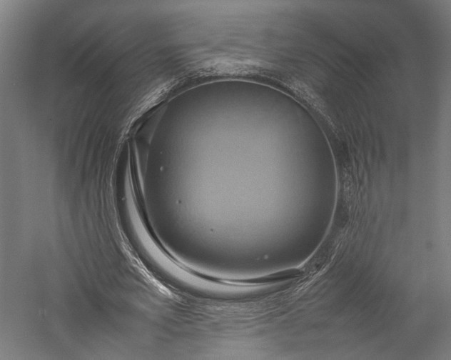 X0000057040581200509231449