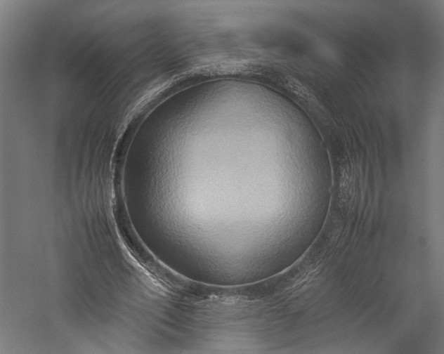 X0000057040582200509231449