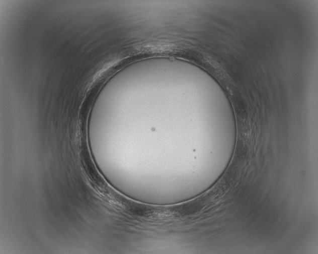 X0000057040583200509231449