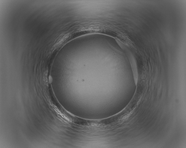 X0000057040585200509231449