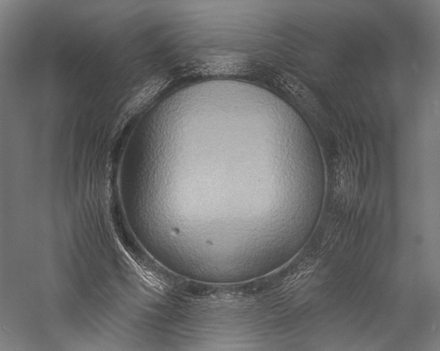 X0000057040586200509231449