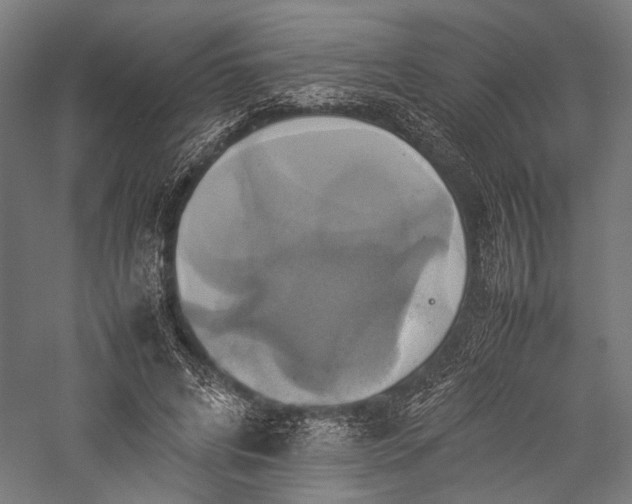 X0000057040592200509231449