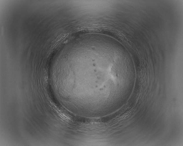 X0000057040593200509231449