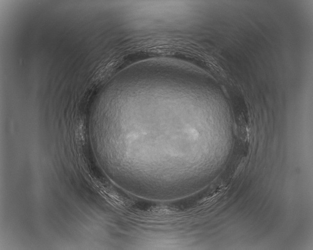 X0000057040597200509231449