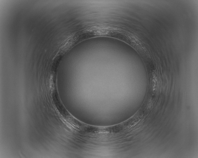 X0000057040598200509231449