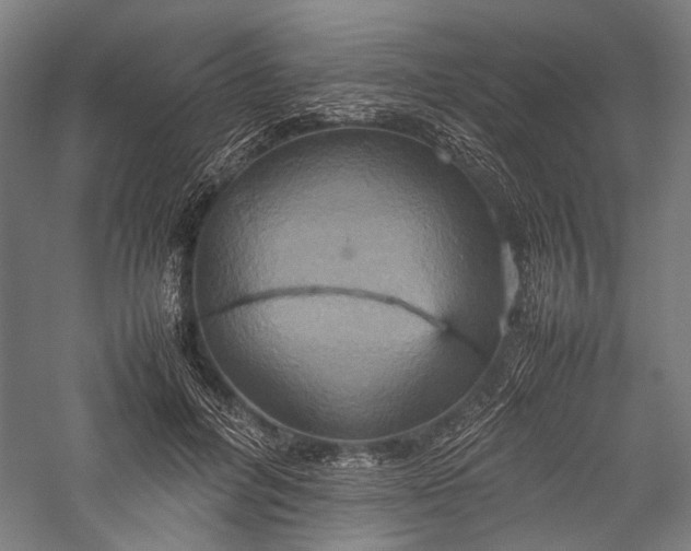 X0000057040600200509231449
