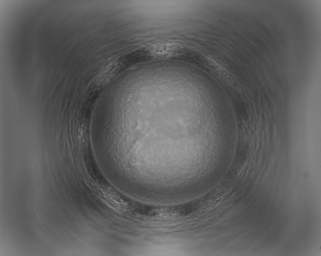 X0000057040601200509231449